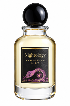 NIGHTOLOGY1.png