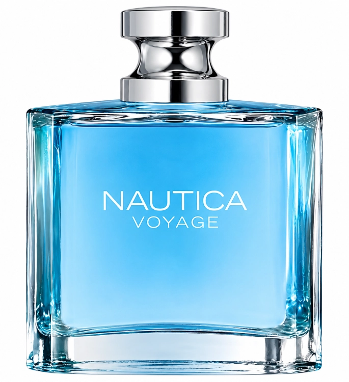 voyage.png